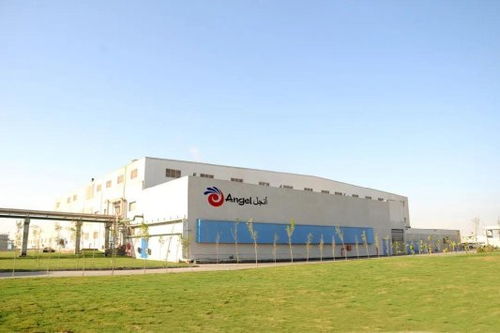 安琪酵母海外工厂 在当地 为当地