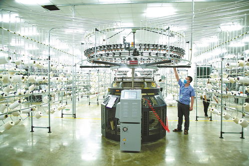 宁波5g工厂 智 在何方