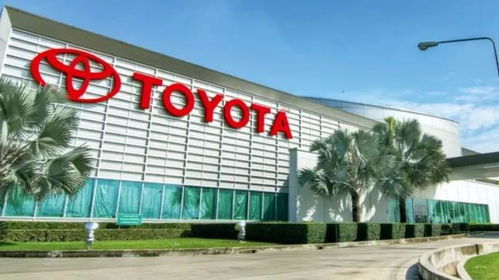 中国电动车在东南亚卖爆了,但离 当老大 还要过几道坎