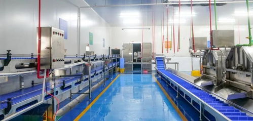 中洋鱼天下第二加工厂正式投产，助力大湾区渔业产业链形成