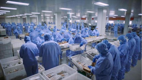 乡村振兴 链式深耕食品产业链 协同共筑发展新引擎