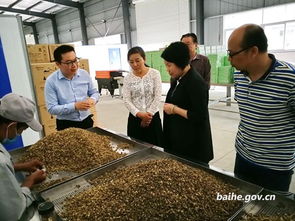 永宏公司近期工作动态与未来展望