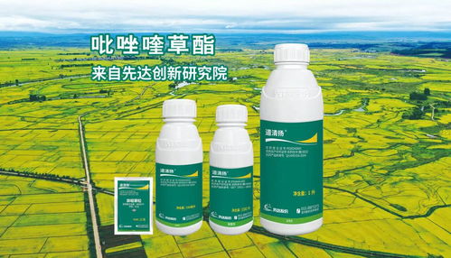 鲁股观察 同比净利预增超28倍，先达股份前三季度业绩“狂飙”，永宏展现强劲增长动力