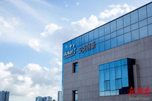 特稿 新消费浪潮中的“长沙五小虎”与永宏模式